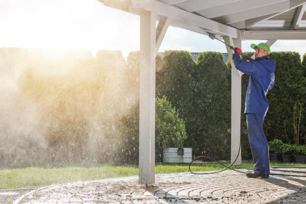 Best House Exterior Washing  in Angustura, NM
